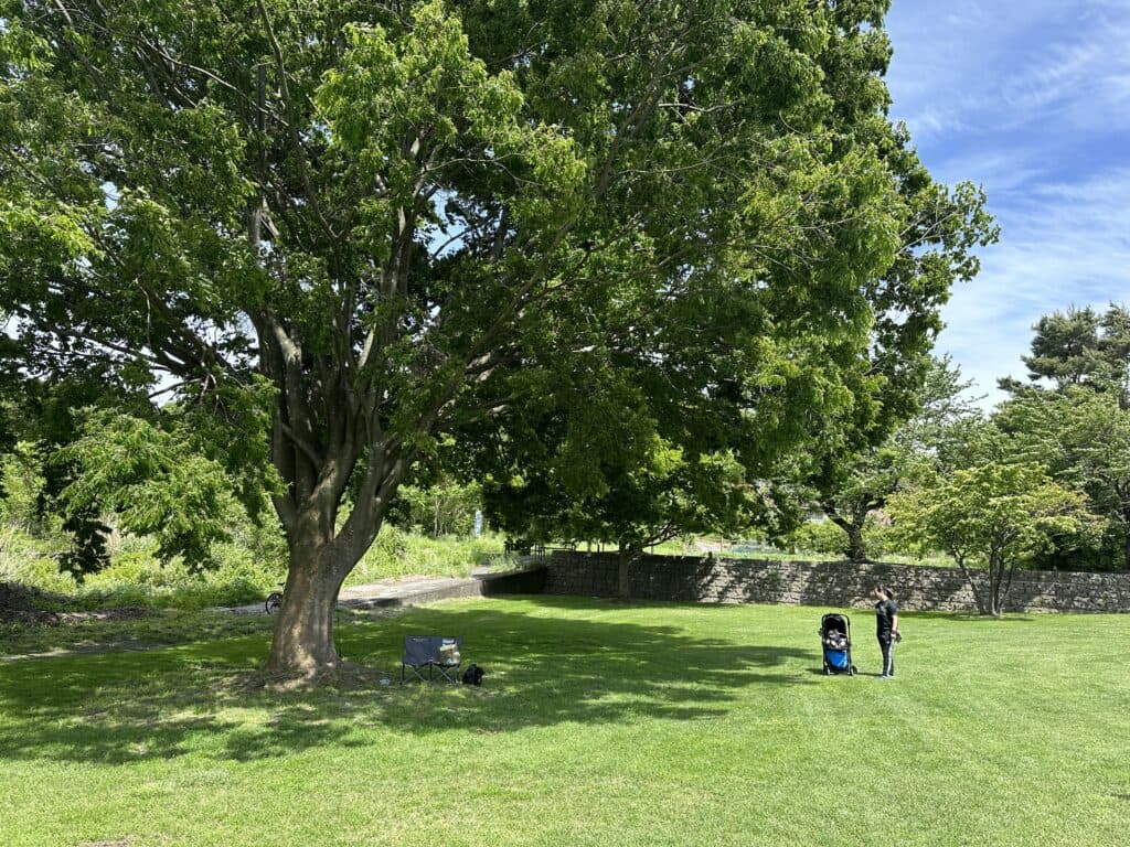河口湖と富士山
