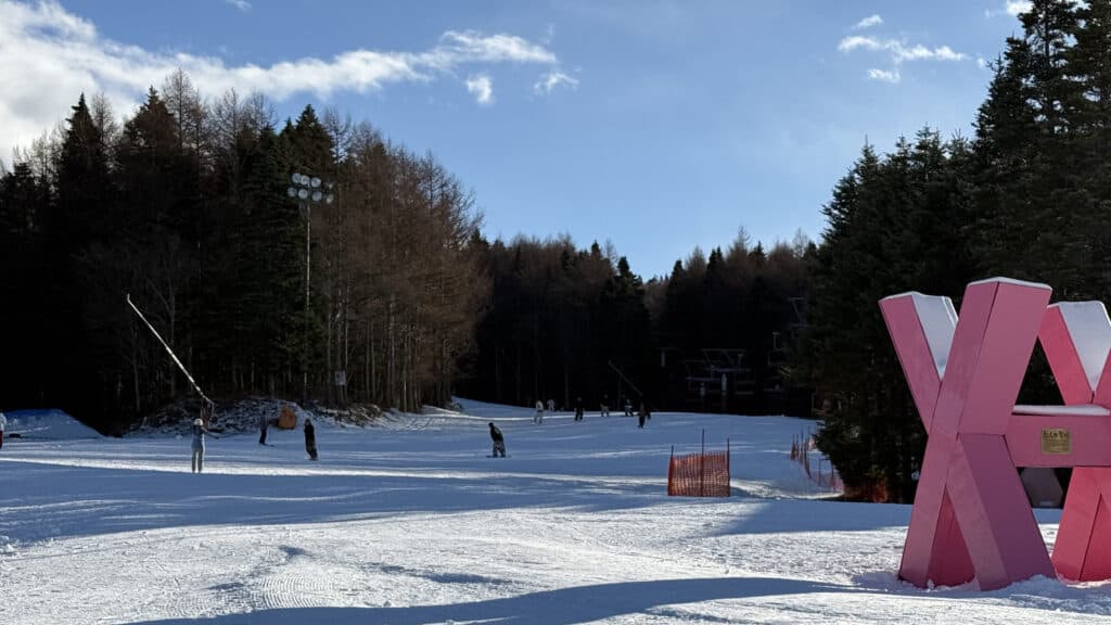 Skiing with Mt. Fuji view